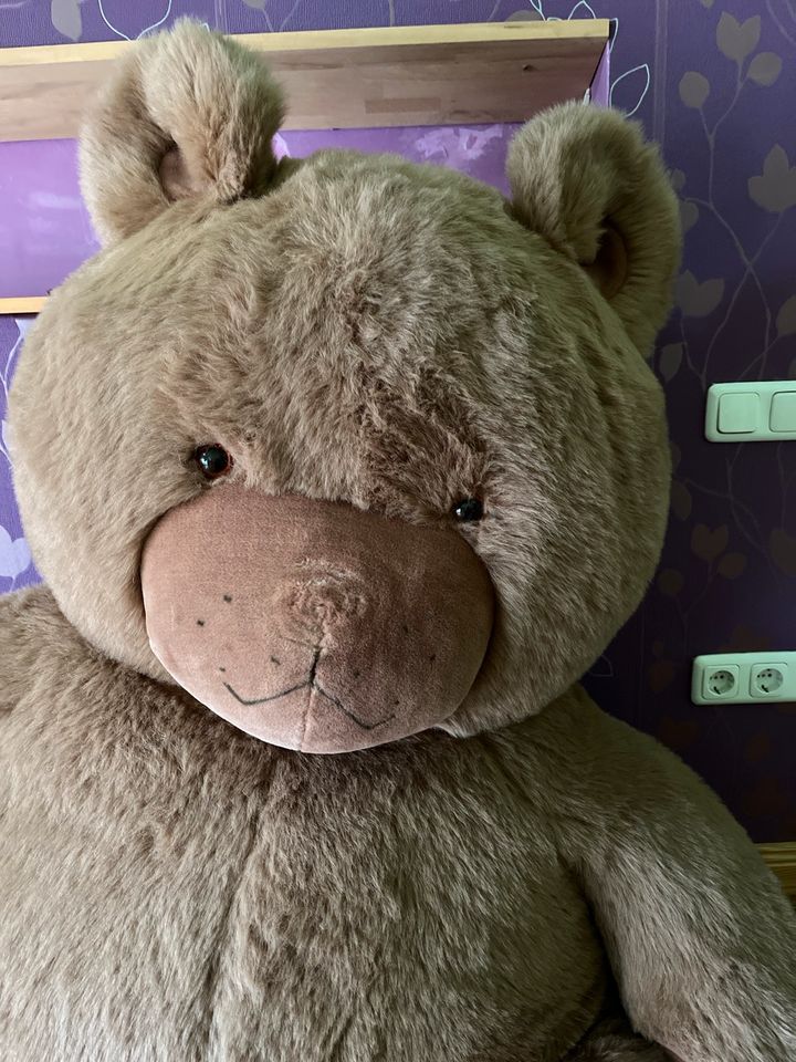 Teddybär XXL, ca 130 cm hoch in Schweich