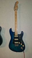 Fender LTD Player Ser Blue Burst Plus *NEU* Hessen - Aarbergen Vorschau