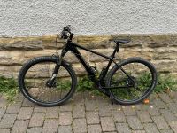 Cube Race One 29 Zoll Hardtail Mountainbike (XT Komponenten) Baden-Württemberg - Weinstadt Vorschau