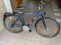 28 Zoll B+B Citybike, 21 Gang, verkehrssicher, RH 53 cm Bayern - Straubing Vorschau