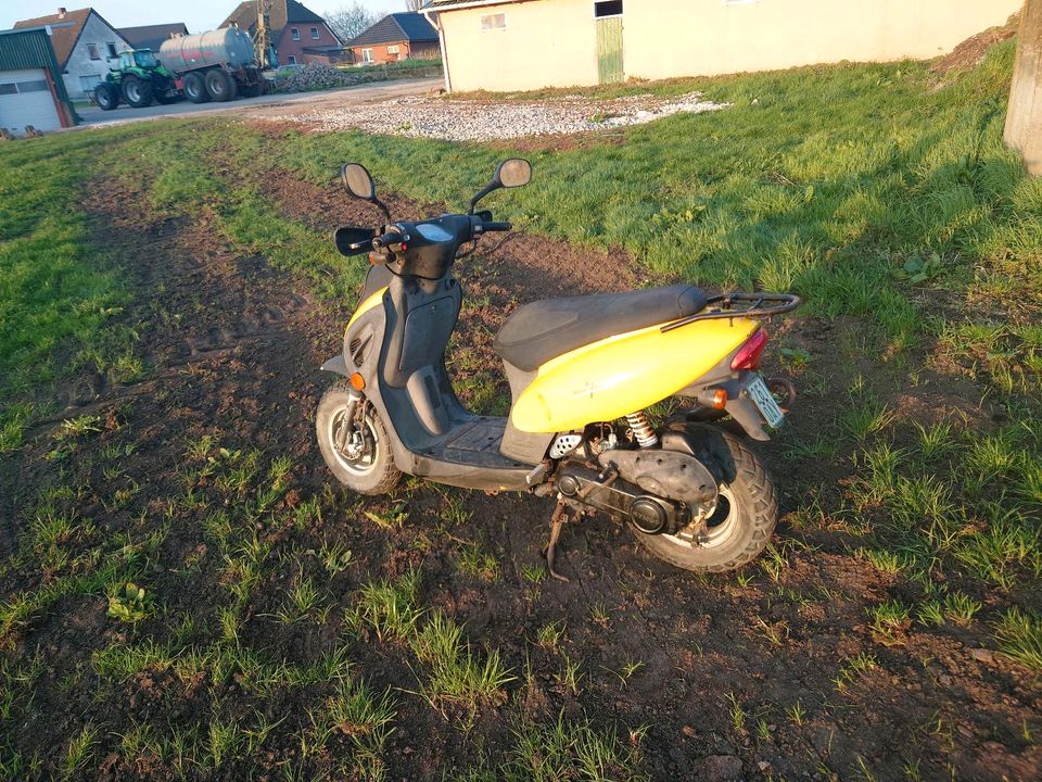 Kymco top Boy 25papiere in Bad Segeberg