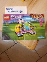 Lego friends 41300 "Welpenmeisterschaft" Hessen - Ronneburg Hess Vorschau