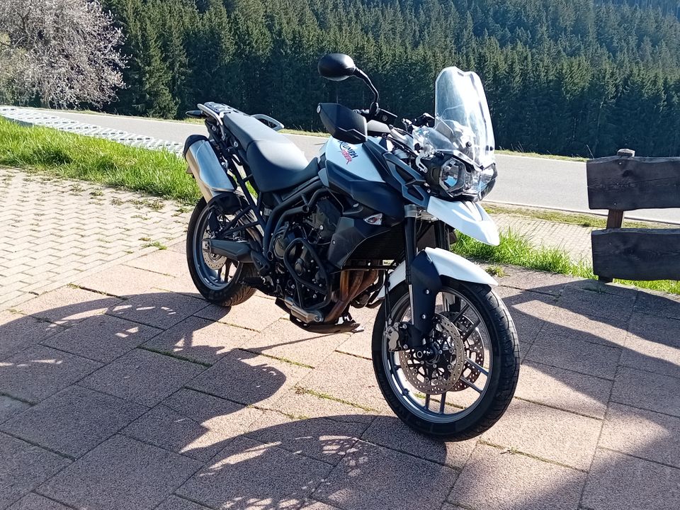 Triumph Tiger 800 ABS **Top Zustand** in Titisee-Neustadt
