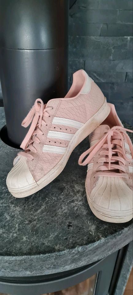 Adidas Superstar top in Worbis