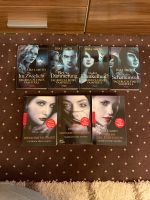 Vampire Diaries Bücher als Set Bayern - Stadtlauringen Vorschau