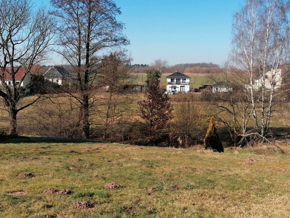 Baugrundstück in Feldrandlage in Frankenberg in Frankenberg (Sa.)