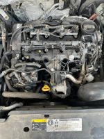 VW Tiguan 5N 2.0TDI 103KW Motor CFF 71200KM Nordrhein-Westfalen - Dörentrup Vorschau