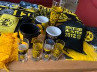 BVB Fanartikel Thüringen - Gera Vorschau