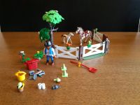 Playmobil Sommerweide mit Zubehör Niedersachsen - Salzbergen Vorschau