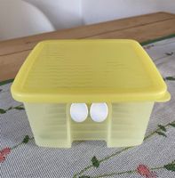 Tupperware Klimabox Prima Klima 1000 ml 15,2cm x 9cm Erdbeeren Nordrhein-Westfalen - Ascheberg Vorschau