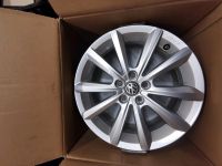 Felgen vw t-cross 5x100 16 zoll Thüringen - Königsee Vorschau