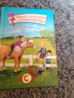 Ponybuch fürs lesen lernen Mecklenburg-Vorpommern - Gültz Vorschau