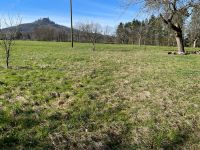 Tolles Grundstück / Wiese mit direktem Burgblick zu verkaufen Baden-Württemberg - Hechingen Vorschau