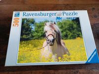 Puzzle mit Pferdemotiv 500 Teile Niedersachsen - Rhede Vorschau