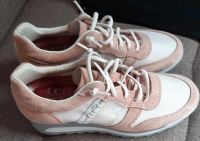 Cetti Sneaker Rose-weiß Gr 36 Rheinland-Pfalz - Mainz Vorschau