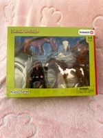 Schleich Farm World Rodeo Serien Rheinland-Pfalz - Weyerbusch Vorschau