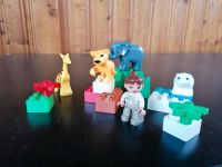 Lego Duplo Zoo Tiere 4962 Schleswig-Holstein - Lehe Vorschau