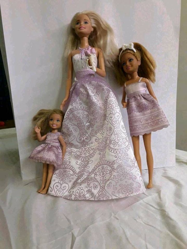Barbie Puppen in Delitzsch