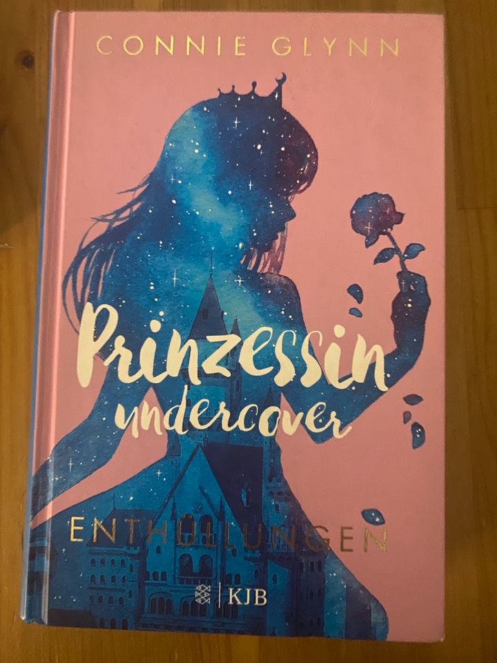 Prinzessin undercover Buch in Essen