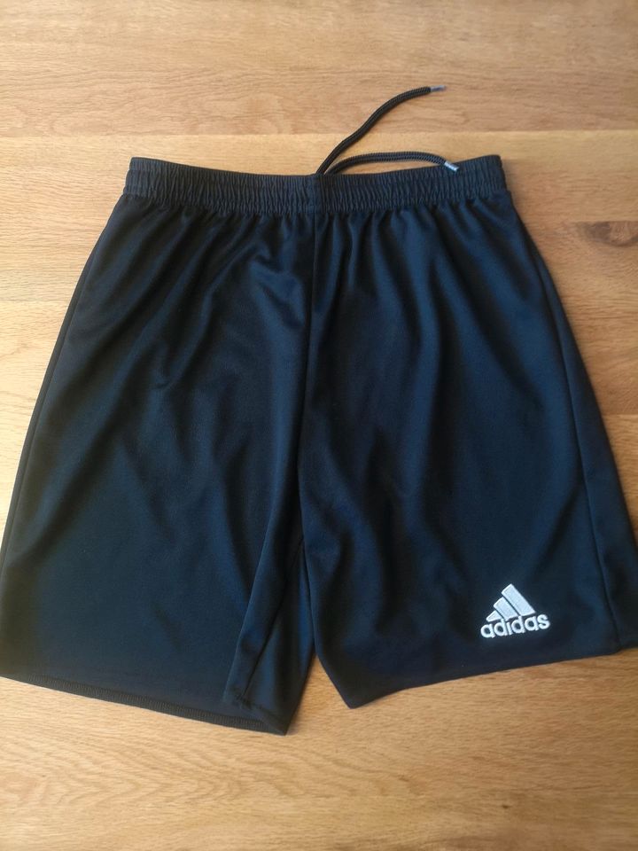 Adidas Climalite Shorts kurze Hose 164 in Rheinland-Pfalz - Macken | eBay  Kleinanzeigen ist jetzt Kleinanzeigen