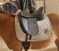 Prestige Lucky Dressage Idol D 16 Zoll neu Essen-West - Frohnhausen Vorschau