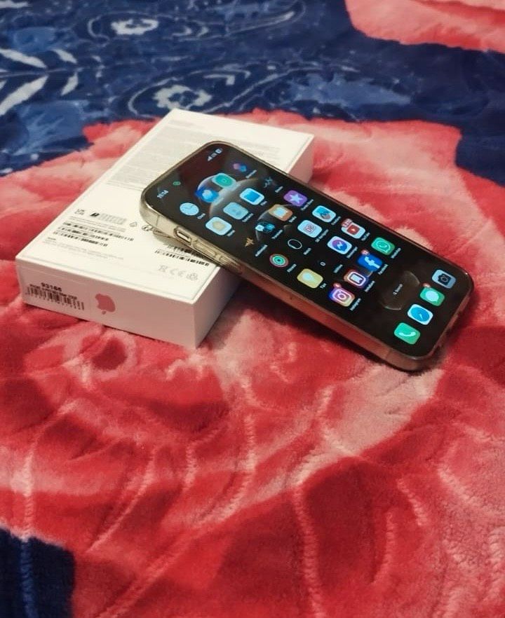 Apple iPhone 14 Pro Max - 512 GB - silber (entsperrt) in Altlußheim