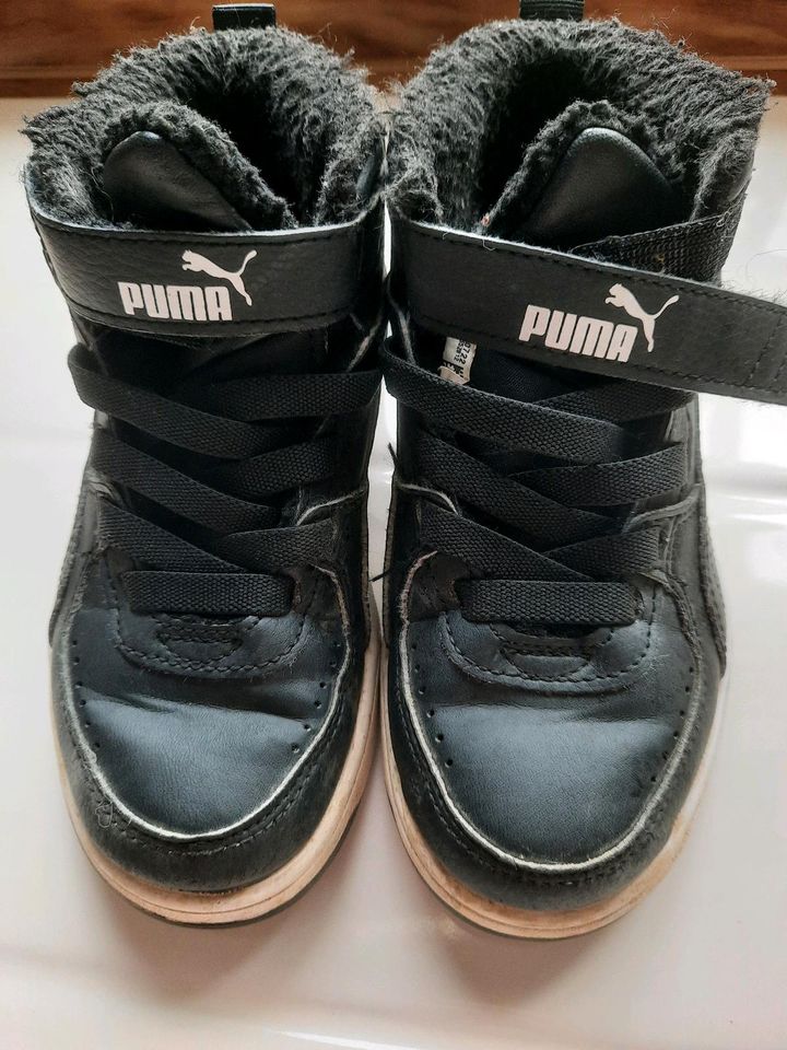 Puma Sneaker Junge in Siegburg