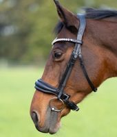 Trense VB mit Bling Bling Niedersachsen - Aerzen Vorschau