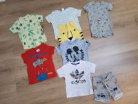 Shirts Shorts Jungen Noppies Adidas H&M Zara Disney Gr. 80/86/92 Niedersachsen - Wetschen Vorschau