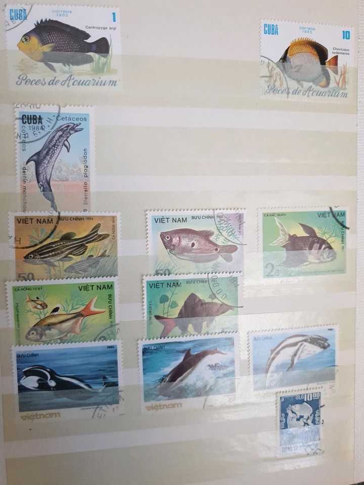 Briefmarken Sammlung Fische Vögel Fußball in Meudt