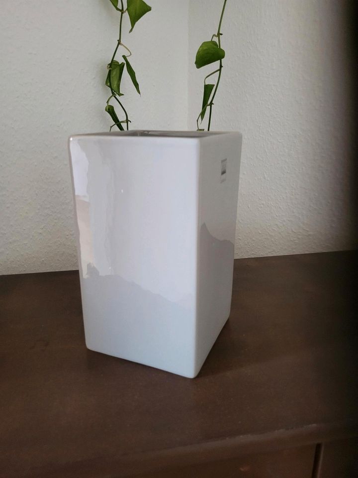 Blumenvase in Paderborn