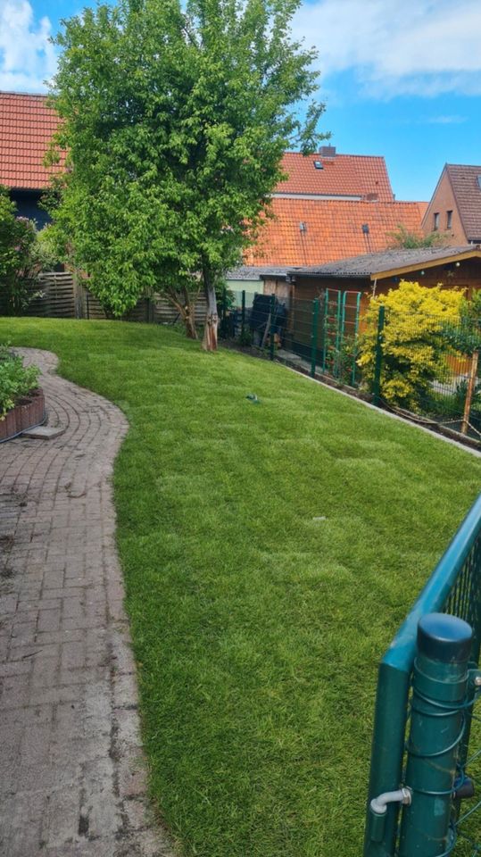 Hecke schneiden, Rasen- und Beetpflege, Zaunaufbau u.v.m in Harsefeld