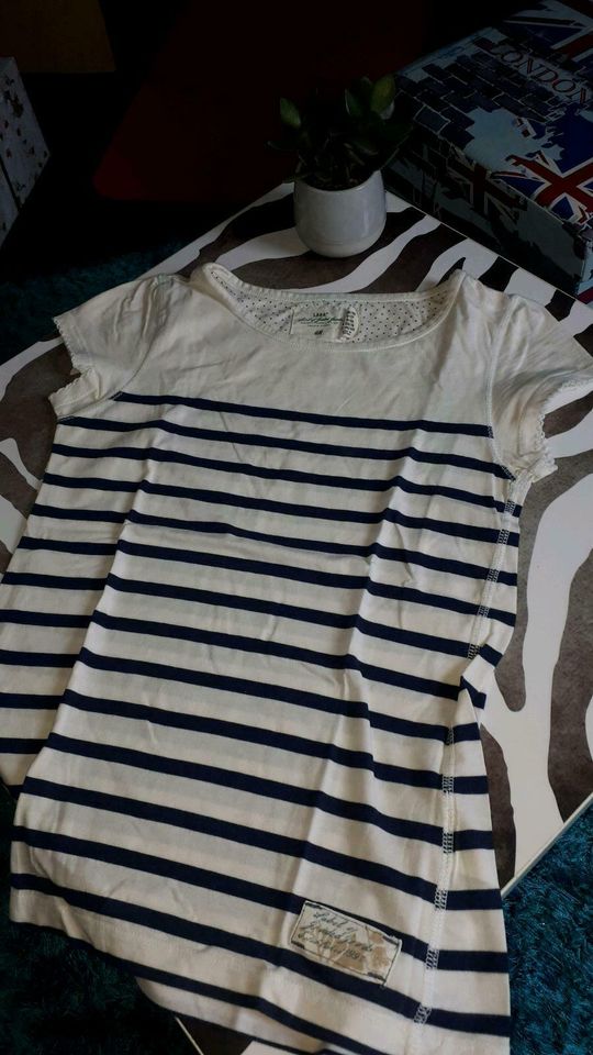 T-Shirt Gr.146/152 von H&M in Stollberg