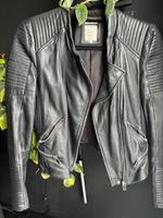 Zara Lederjacke Gr L Duisburg - Rumeln-Kaldenhausen Vorschau