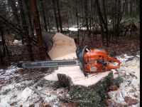 Forstunternehmen Schweiger Bayern - Rammingen Vorschau