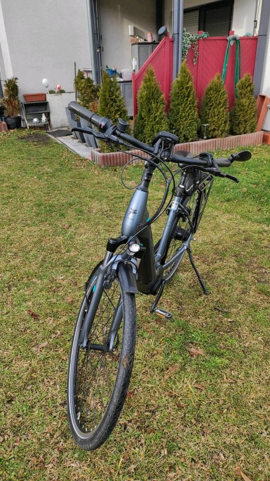 E Bike von Pegasus sehr gepflegte in Ginsheim-Gustavsburg