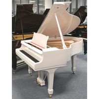 Steinway & Sons Flügel, S-155, weiss, gebraucht, Bj. 1949 Thüringen - Jena Vorschau