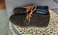 Tommy Hilfiger Stiefelette braun schuh gr 39 Nordrhein-Westfalen - Hamm Vorschau