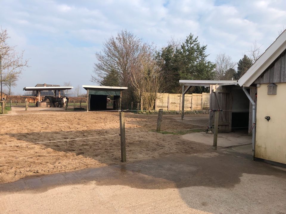 Offenstall-Platz mit Vollpension in Strenglin frei in Pronstorf