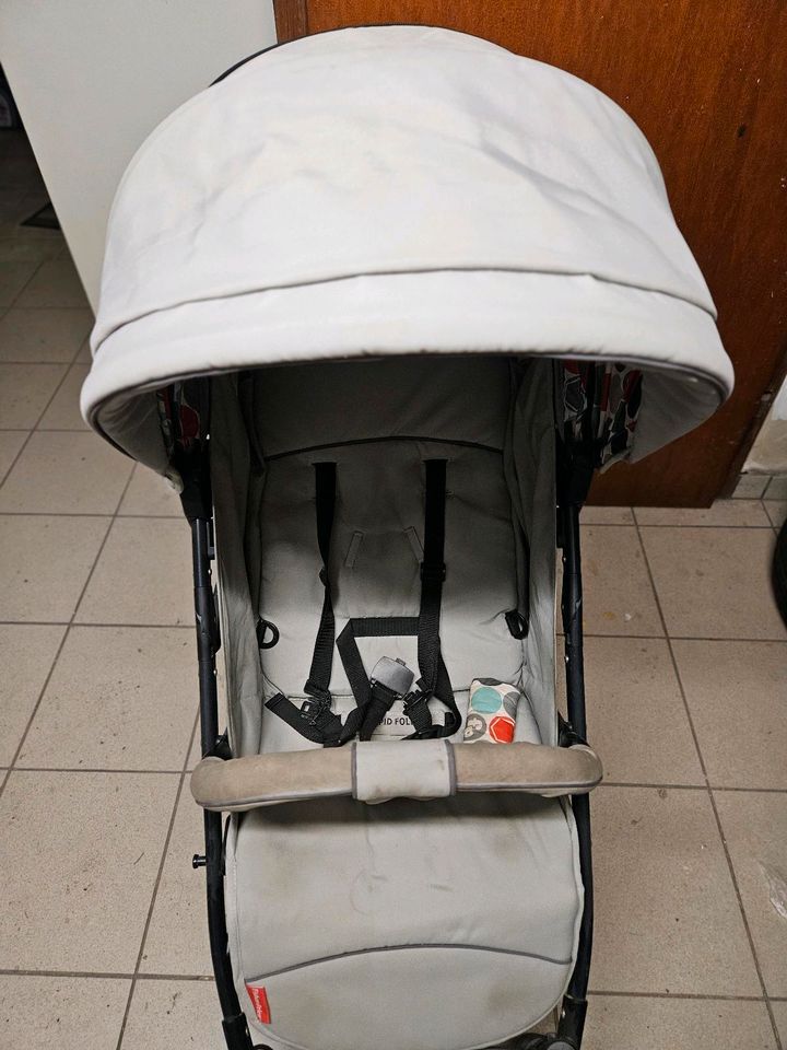 Hauck Fisher Price Buggy in Ruppichteroth