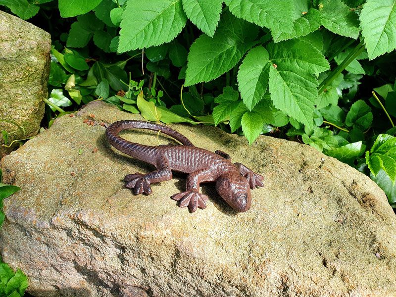 Garten-DekoFigur Gecko Eidechse Salamander Gusseisen *NEU/VERSAND in Emden