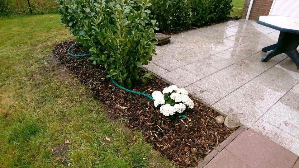 ⭐Hausmeisterservice & Gartenpflege ✅Entrümpelung ✅ Gartenservice⭐ in Nordholz