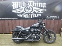 Harley-Davidson XL883N Iron Sportster Rheinland-Pfalz - Bornheim Pfalz Vorschau