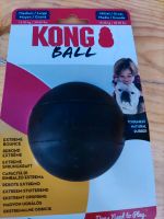 Kongball für Große Hunde Baden-Württemberg - Bad Schussenried Vorschau
