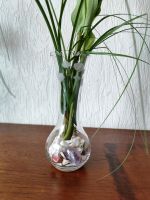 Vase Glas mit Kunstblumen Baden-Württemberg - Engelsbrand Vorschau