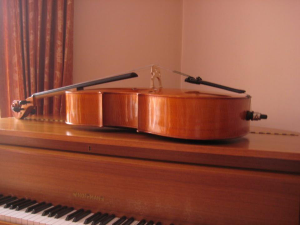 MEISTER-CELLO MIT ZETTEL / GRÖßE 4/4 BAUJAHR 1979, BOLOGNA in Hollenstedt