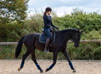 Reithose Reitleggings Pikeur Gia Grip 72 S lang navy dunkelblau Bayern - Schwabmünchen Vorschau