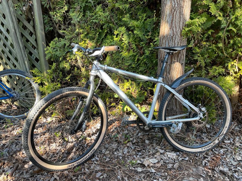Custom Dirtbike Dirt Bike Mountainbike MTB 26 Zoll Singlespeed in Hamburg