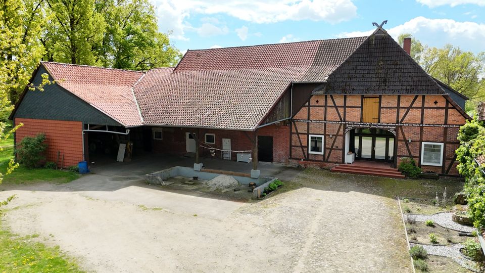 Schöner, renovierter Resthof auf 9146 m² Grundstück - Scheune/Stall/Halle, PV-Anlage, Salzwasserpool in Meinersen