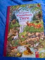Biete 11 Kinderbücher an Sachsen - Lichtenstein Vorschau